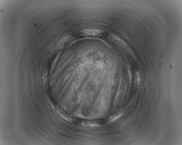 X0000085750559200703301405