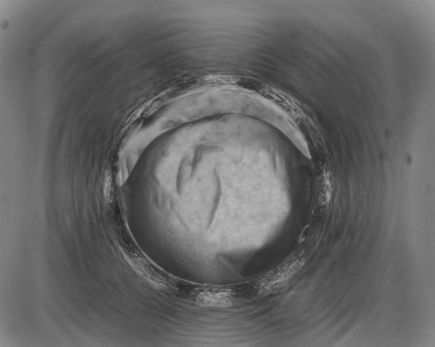 X0000085750560200703301405