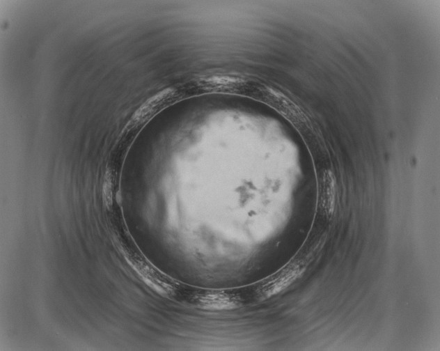 X0000085750562200703301405