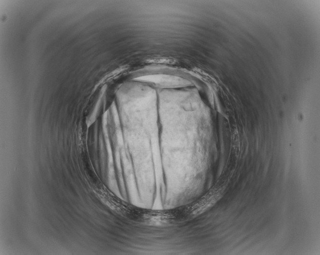 X0000085750564200703301405