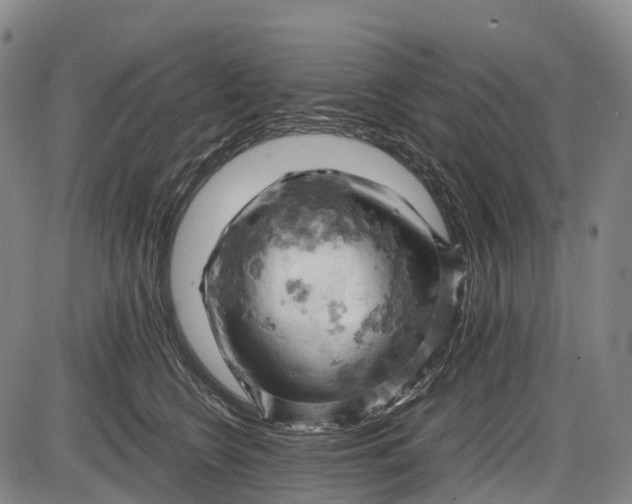 X0000085750566200703301405