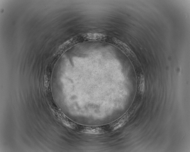 X0000085750569200703301405