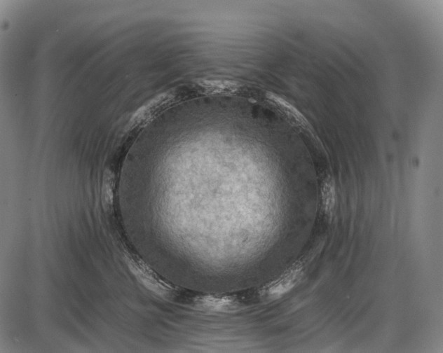 X0000085750570200703301405