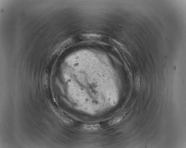 X0000085750571200703301405