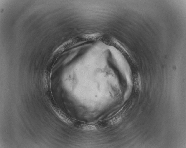 X0000085750572200703301405