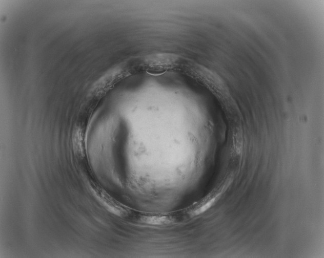 X0000085750575200703301405