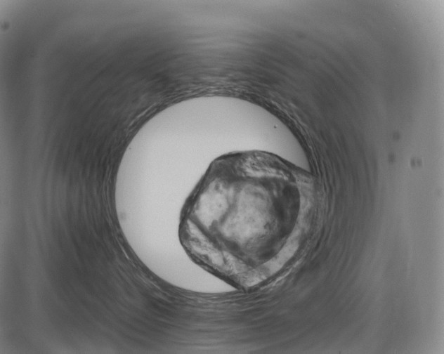 X0000085750576200703301405