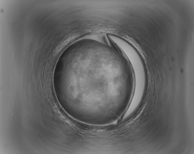 X0000085750577200703301405