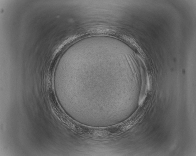 X0000085750579200703301405