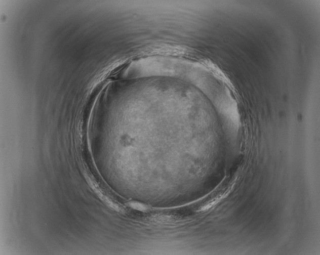 X0000085750581200703301404