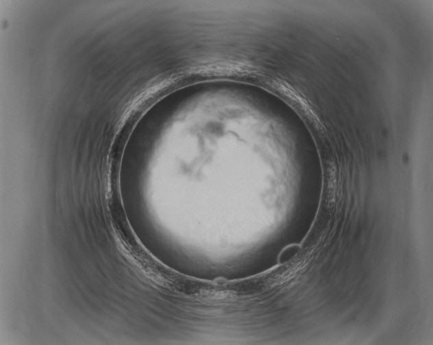 X0000085750582200703301404