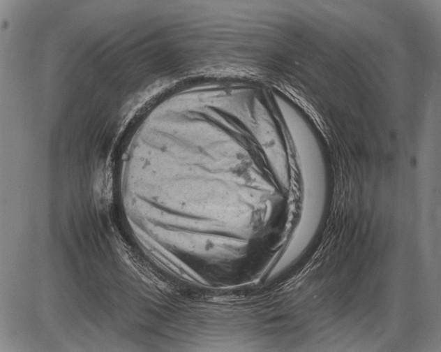 X0000085750584200703301404