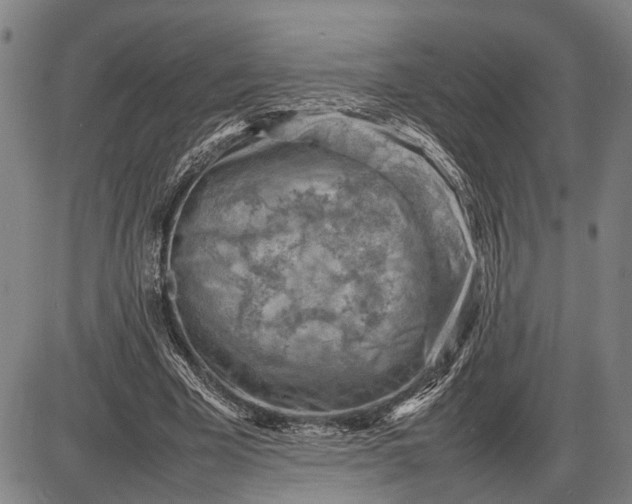 X0000085750585200703301404