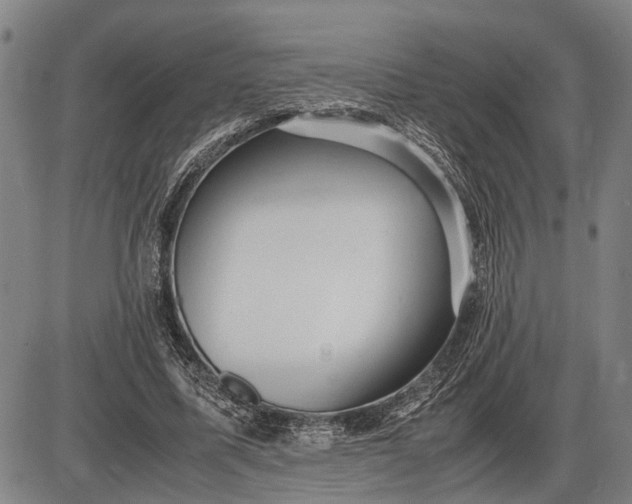 X0000085750587200703301404