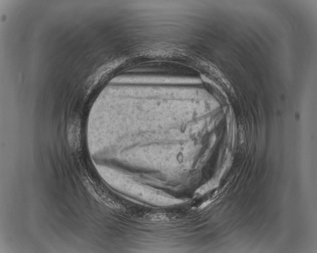 X0000085750588200703301404