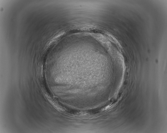 X0000085750589200703301404