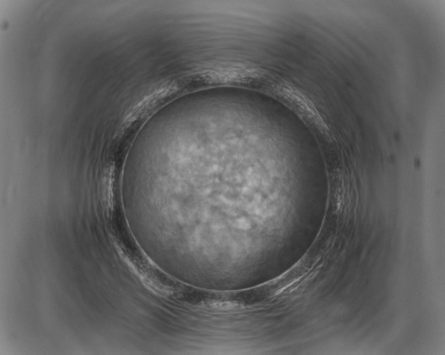 X0000085750590200703301404