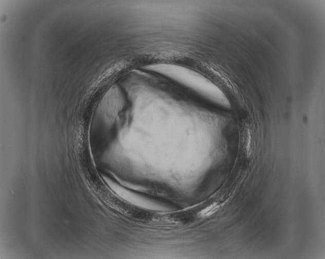 X0000085750591200703301404