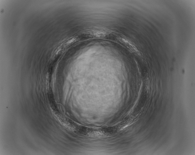 X0000085750594200703301404