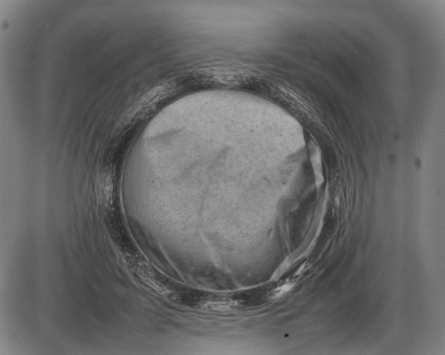 X0000085750595200703301404