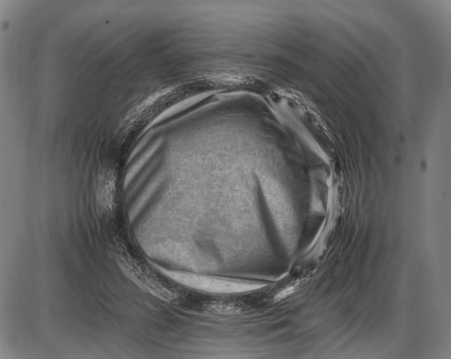 X0000085750596200703301404