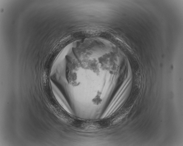 X0000085750597200703301404