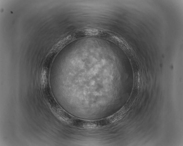 X0000085750598200703301404