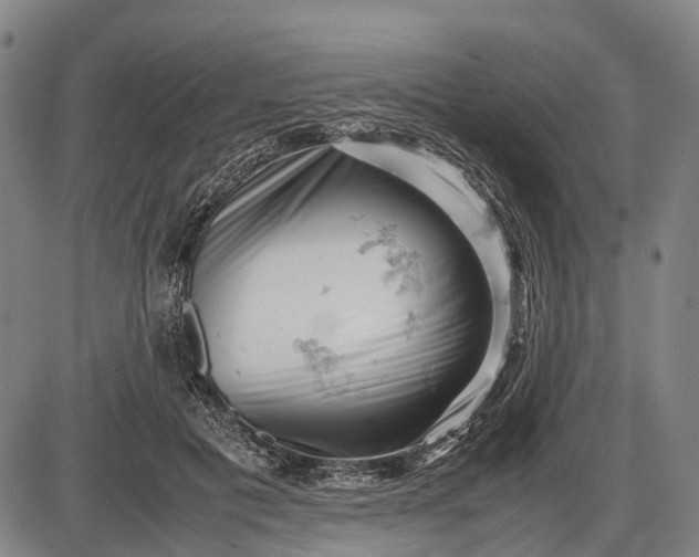 X0000085750601200703301404