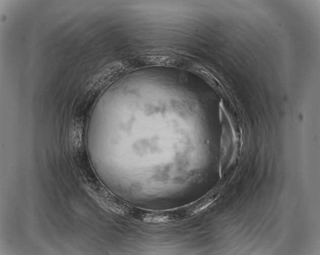 X0000085750602200703301404