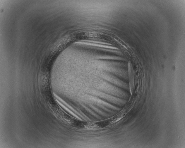 X0000085750603200703301404