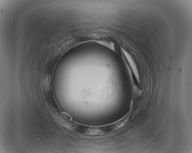 X0000085750605200703301404