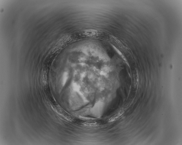 X0000085750606200703301404