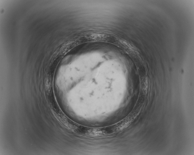 X0000085750607200703301404