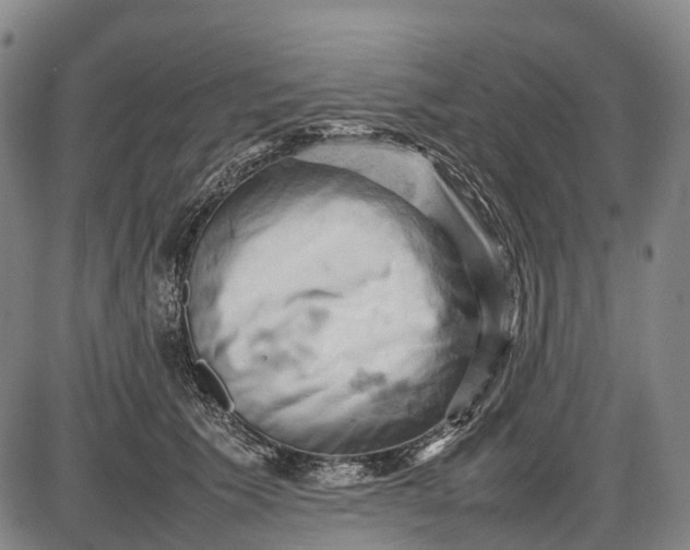 X0000085750609200703301404