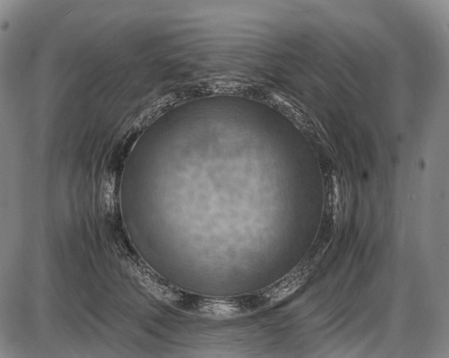 X0000085750610200703301404