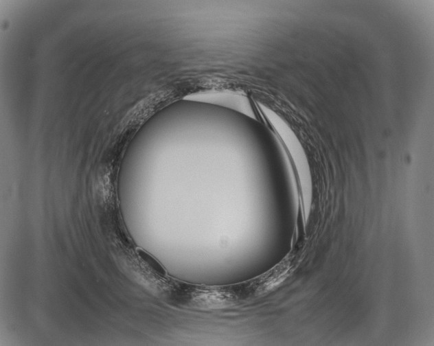 X0000085750611200703301404