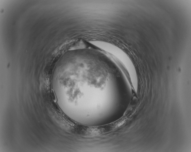 X0000085750613200703301404