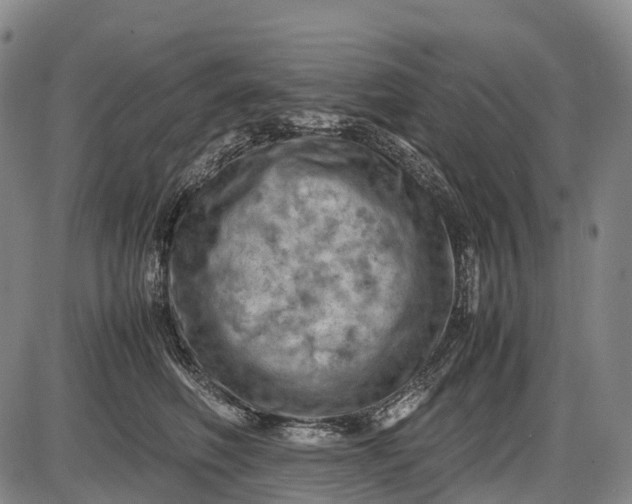 X0000085750614200703301404