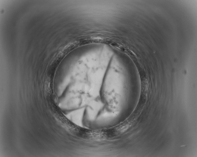 X0000085750615200703301404