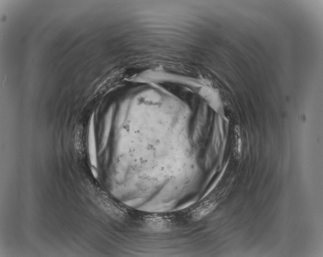 X0000085750616200703301404