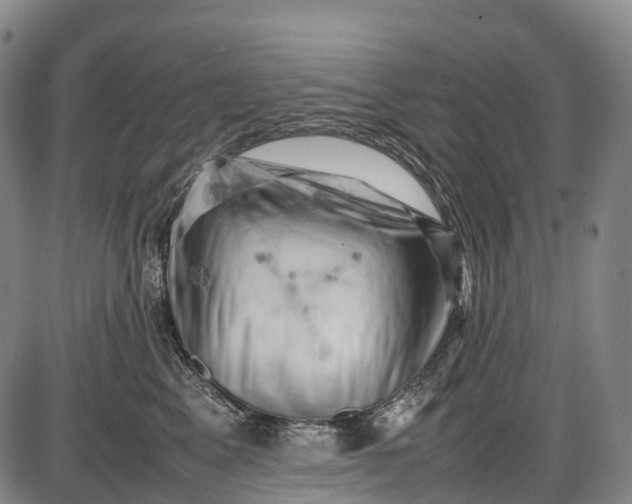 X0000085750617200703301404