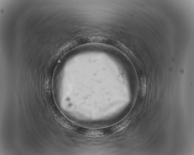 X0000085750619200703301404