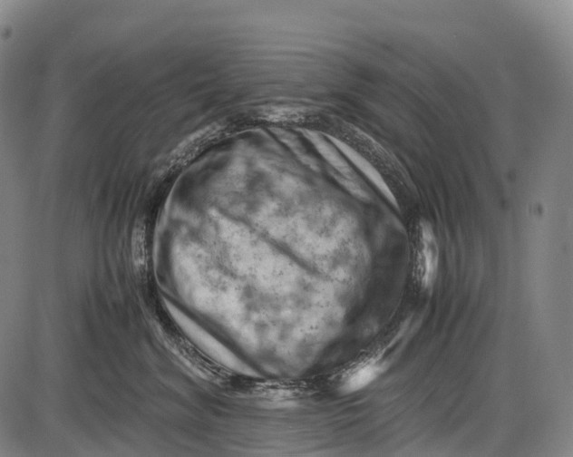 X0000085750620200703301404