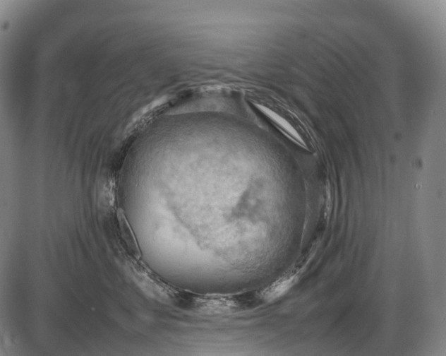 X0000085750621200703301404