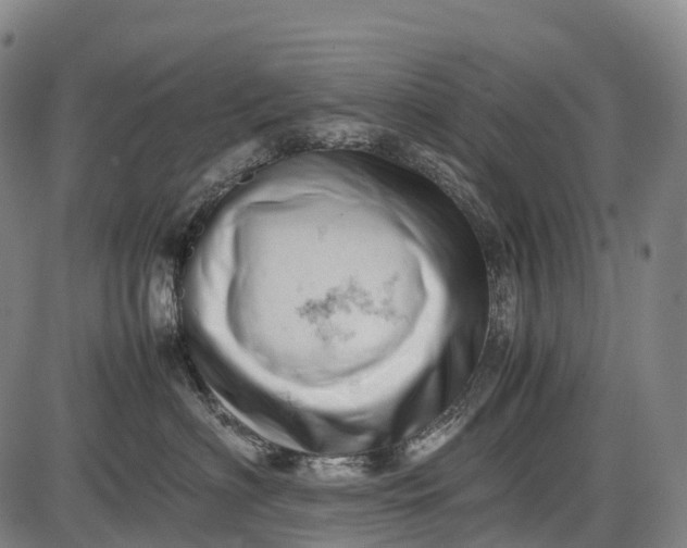 X0000085750622200703301404