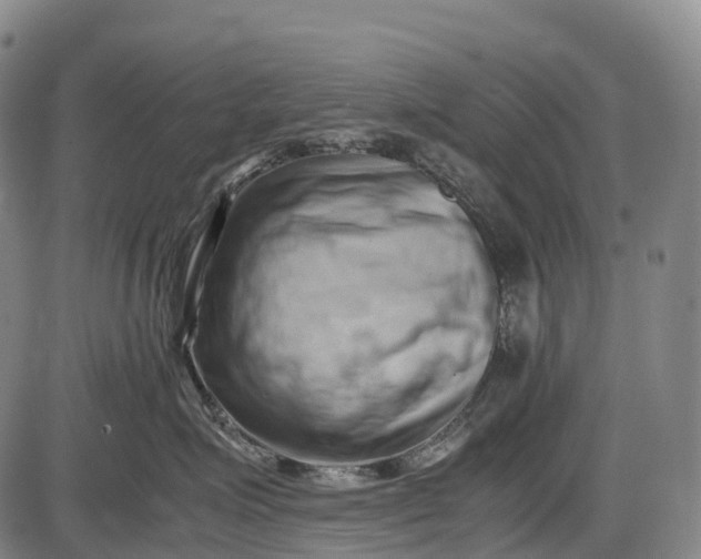 X0000085750623200703301404