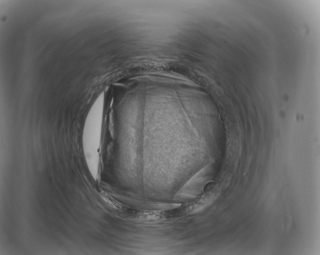 X0000085750624200703301404