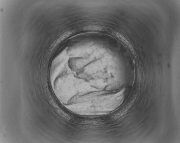 X0000085750625200703301403