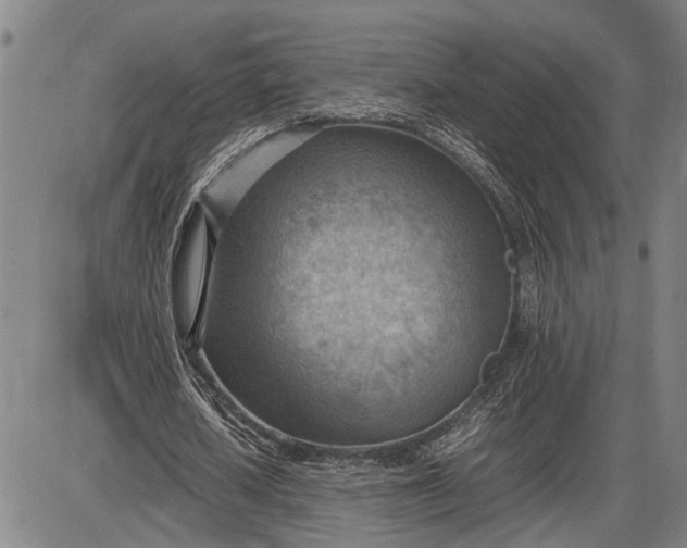 X0000085750626200703301403