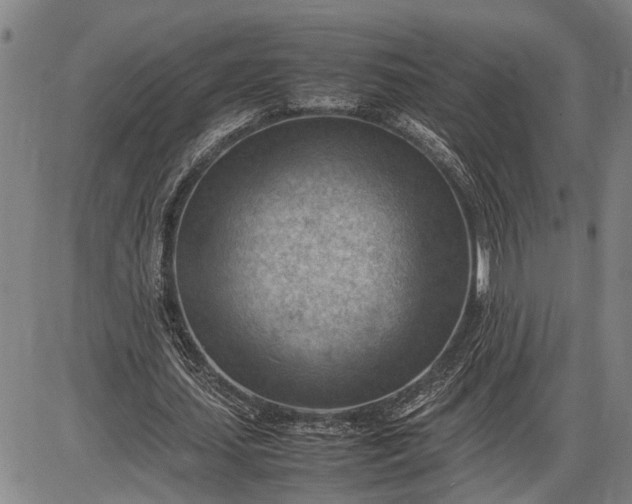 X0000085750627200703301403